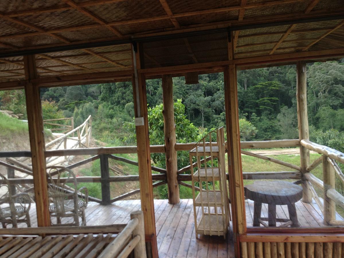 Rushaga Gorilla Lodge Bugambira Rom bilde